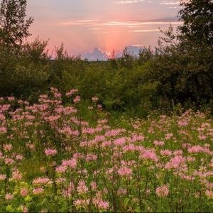 Meet your Posher, Eva